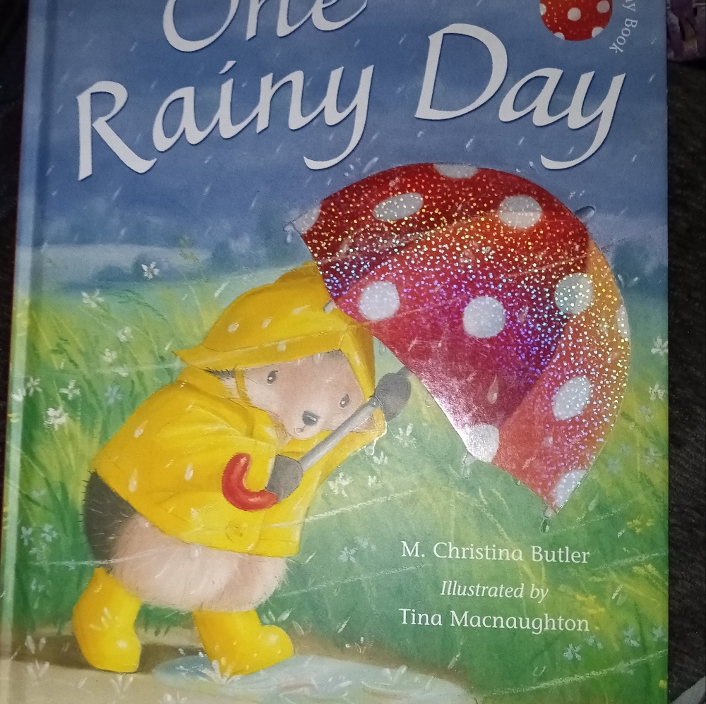 One Rainy Day Children's Book